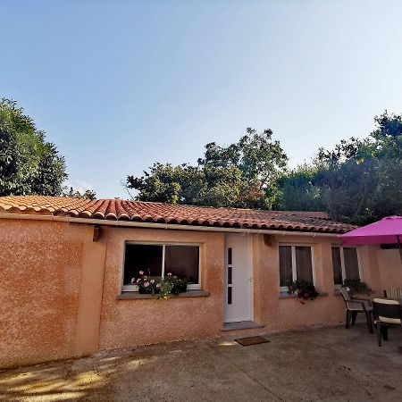 Maison De Village Proche Commodites Murato 外观 照片